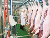 肉品检验检测